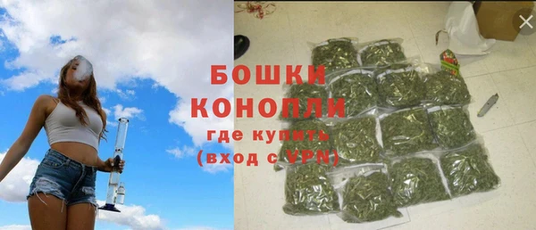 твердый Белокуриха