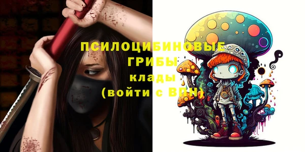 скорость Баксан