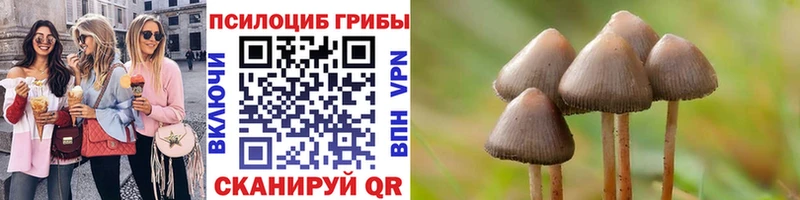 Псилоцибиновые грибы прущие грибы  Реутов 