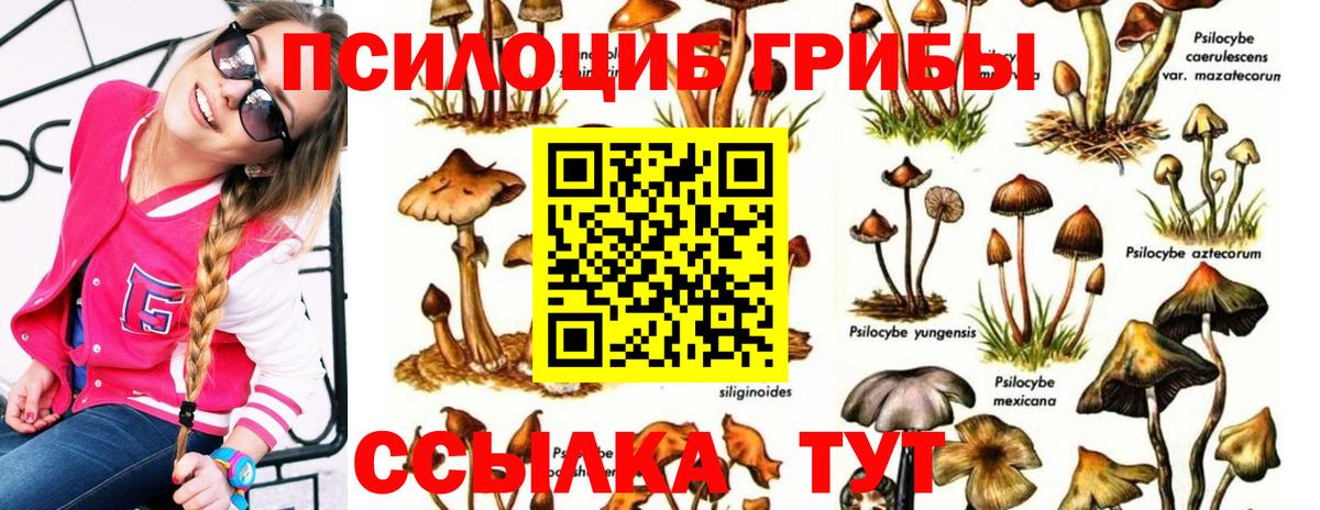 Реутов  Галлюциногенные грибы MAGIC MUSHROOMS  Псилоцибиновые грибы Magic Shrooms  Вход с VPN 